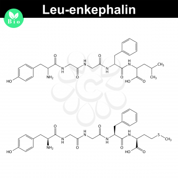 Leu-enkephalin molecule, 2d vector illustration, isolated on white background, eps 8