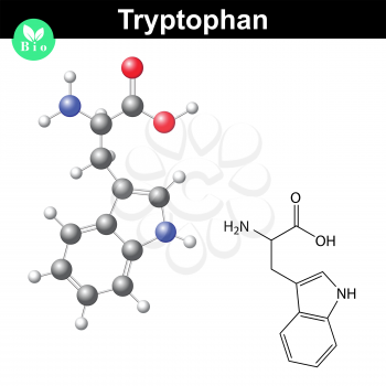 Tryptophan essential amino acid molecular formula and model, 2d and 3d illustration, vector on white background, eps 8