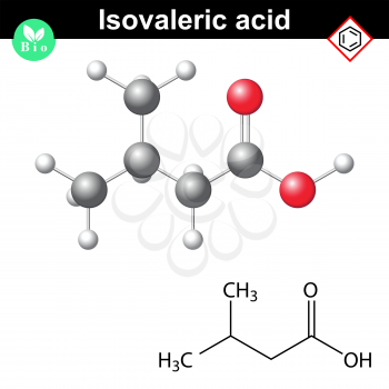 Isovaleric acid molecule, chemical formula and model, 2d and 3d illustration, vector, eps 8