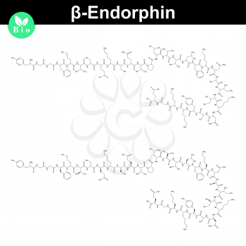 Beta endorphin molecular formula, endogenous morphine compound, 2d chemical vector sign, isolated on white background, eps 8