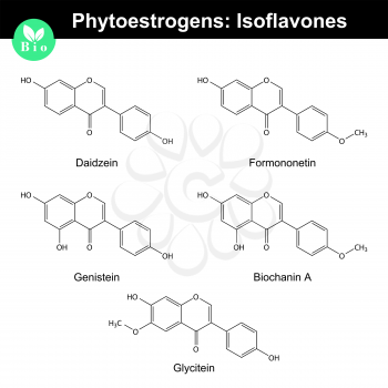 Phytoestrogens of isoflavone group, chemical formulas and molecular structures, 2d chemical vector, eps 8