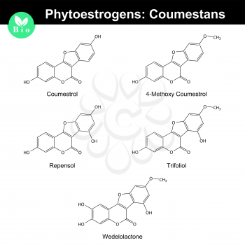 Phytoestrogens of coumestane group, chemical formulas and molecular models, 2d chemical vector, eps 8