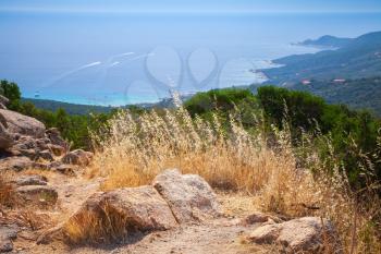 South Corsica, coastal landscape with dry grass and stones. Selective focus on a foreground