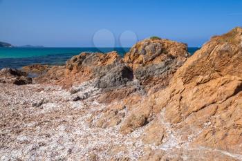 Dry algae on rocky Mediterranean coast. South region of Corsica island, France. Plage De Capo Di Feno landscape
