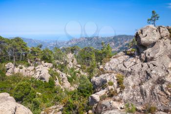 Wild mountain landscape with small pine trees growing on rocks. South of Corsica island, France