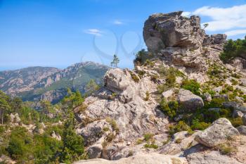 Wild mountain landscape with small pine trees growing on rocks. South part of Corsica island, France