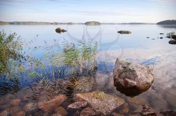 Coastal landscape with sedge and stones, Saimaa lake, Karelia, Finland