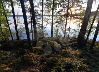 Rising sun is shining In the morning coastal forest, Saimaa lake, Karelia, Finland