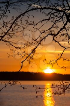 Branches silhouette above the sunset on the Saimaa lake in Finland