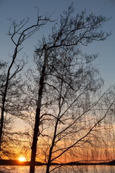 Sunset on the Saimaa lake in Finland with silhouettes of trees 