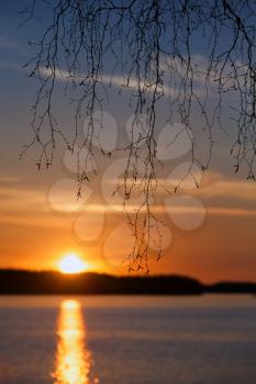 Birch branches silhouette, sunset on the Saimaa lake in Finland
