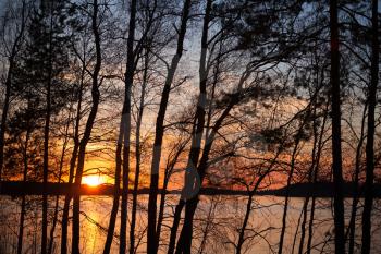 Sunset on Saimaa lake in Finland with silhouettes of trees 