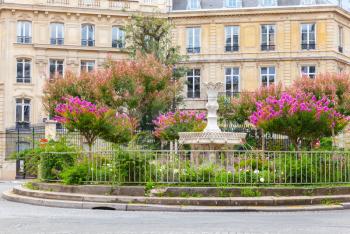 Old fountain and colorful flowers, Place Francois 1er, Paris, France