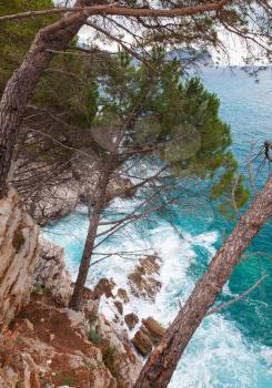 Coastal landscape. Pine trees grow on the rocks. Adriatic Sea, Montenegro