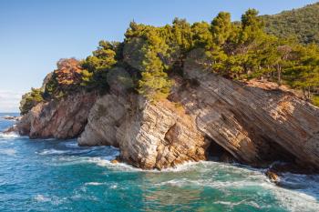 Coastal rocks with pine trees. Adriatic Sea, Montenegro