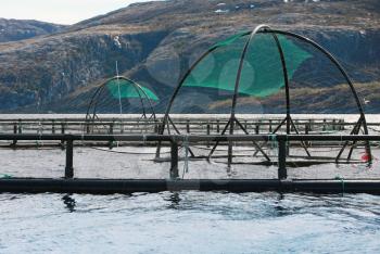 Norwegian fish farm cages for salmon growing in fjord