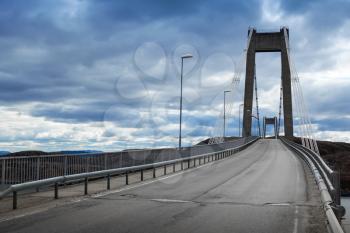 Automobile cable-stayed bridge with asphalt road