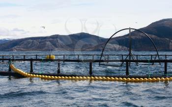 Norwegian round fish farm for salmon growing in fjord