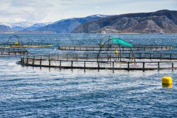 Norwegian fish farm for salmon growing in fjord