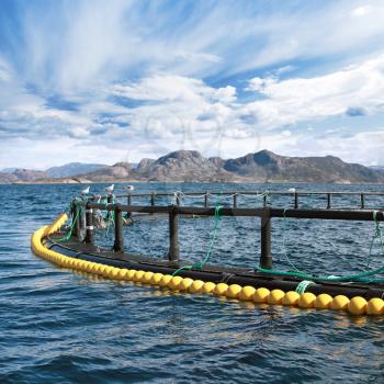 Round fish farm cage in Norwegian Sea