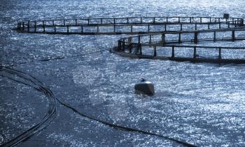 Round cages of fish farm for salmon growing in Norway
