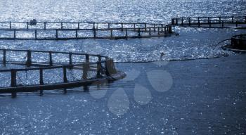 Round cages of Norwegian fish farm for salmon growing