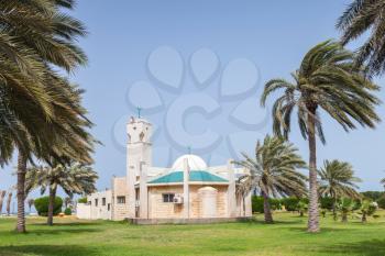 Modern mosque and palms in Rahima, Saudi Arabia