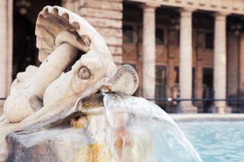 Fragment of fountain with dolphin sculpture. Italy, Rome, Piazza Colonna, Via Del Corso
