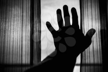 Male hand silhouette and tulle on window with bright daylight outside, black and white photo