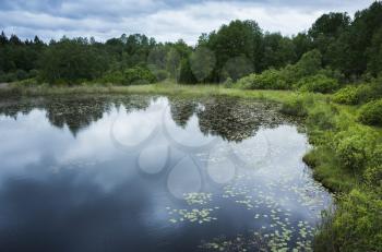Still lake landscape in summer. Ladoga, Russia
