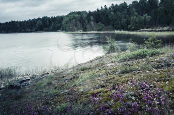Still lake landscape in cold summer day. Ladoga, Russia. Vintage tonal correction filter, blue mood