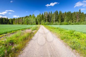 Strait empty rural road perspective under blue sky with clouds in bright summer day. Empty landscape background photo of Finland