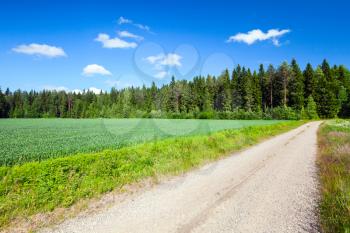 Strait empty rural road goes near green field under blue sky with clouds in bright summer day. Empty landscape background photo of Finland