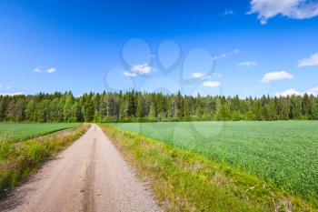 Strait empty rural road near green field under blue sky with clouds in bright summer day. Empty landscape background photo of Finland