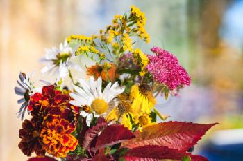 Summer bouquet with mix of wild and decorative flowers, close-up photo over colorful background with selective focus