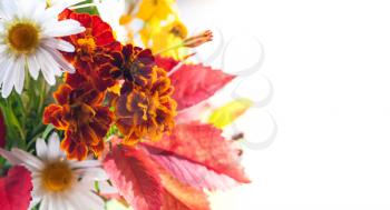 Colorful autumn bouquet, mixed leaves and decorative flowers, close-up photo with selective focus over white background
