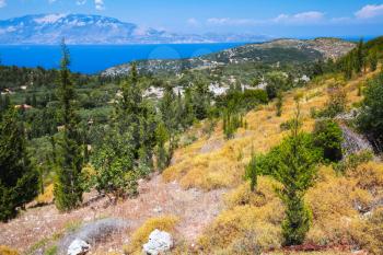 Summer landscape with cypress trees. Zakynthos, Greek island in the Ionian Sea