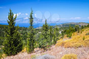 Wild cypress trees. Coastal summer landscape of Zakynthos, Greek island in the Ionian Sea