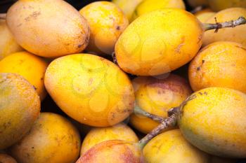 Yellow passion fruits lay on the counter of street food market on Madeira island, Portugal. Close-up photo with selective focus