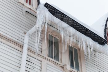 Large icicles hang on the facade of wooden living house. European winter