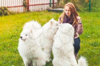 Caucasian girl with white Samoyed dogs walk in park, outdoor portrait