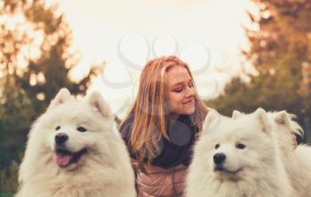Happy teenage girl with three white Samoyed dogs on a walk, instagram style filter effect