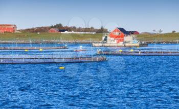 Fish farm for salmon production in natural environment. Norwegian Sea fjord, Trondheim region