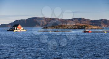 Norwegian fish farm for salmon and trout production in natural environment. Sea fjord, Trondheim region