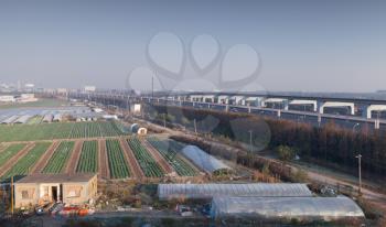 Chinese Landscape, fields near Shanghai International Airport