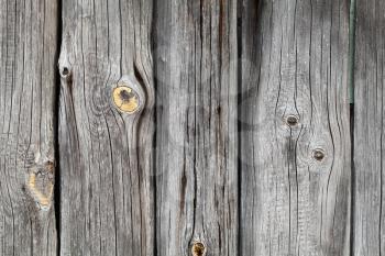 Old grungy gray wooden wall, background photo texture