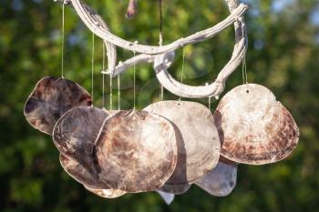 Decorative wind chime made of big flat shells hanging in park