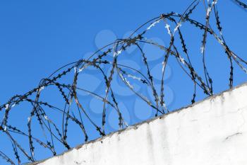 Barbed wire on white wall under blue sky background, close-up photo with selective focus