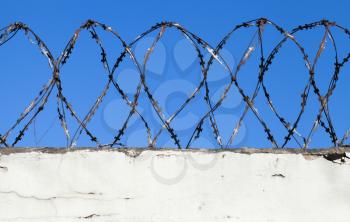 Barbed wire on top of white concrete wall under blue sky background, front view