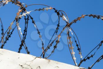 Barbed wire on top of white concrete wall under blue sky background, close-up photo with selective focus